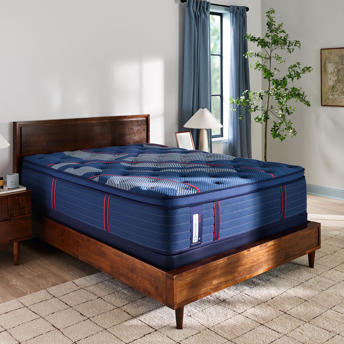 1903ecea5b3a50ddcd05026d0a715abd Albany II Euro Pillow Top Soft - Image 1