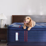 Albany II Euro Pillow Top Soft - Image 10