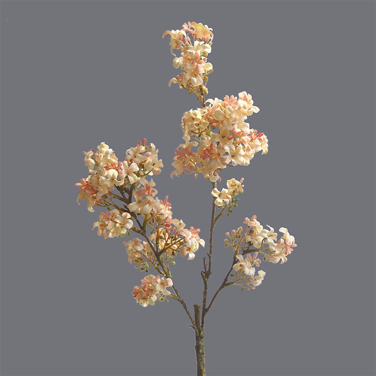 ACNITE Lilac Stem