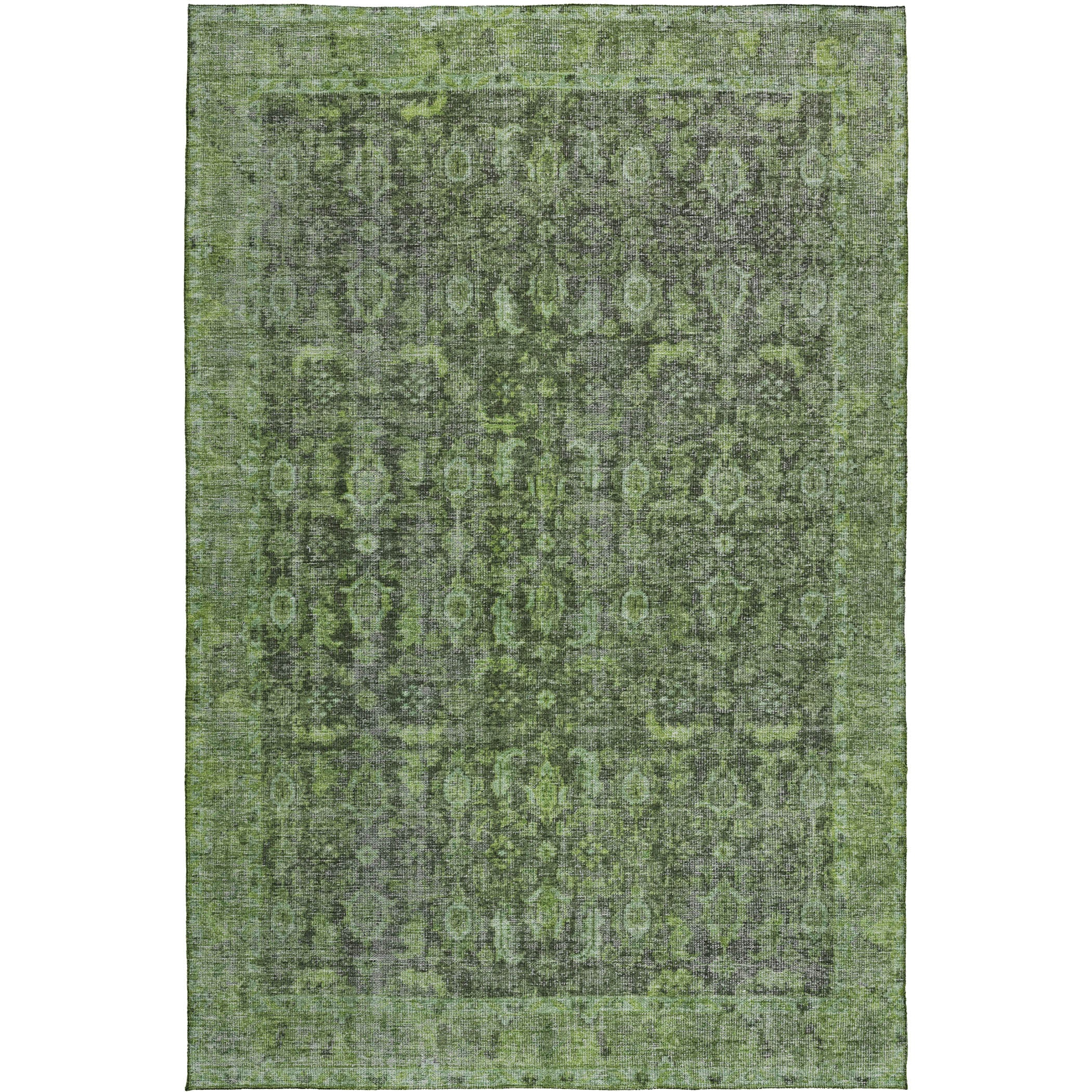 Dalyn Karaj Cactus