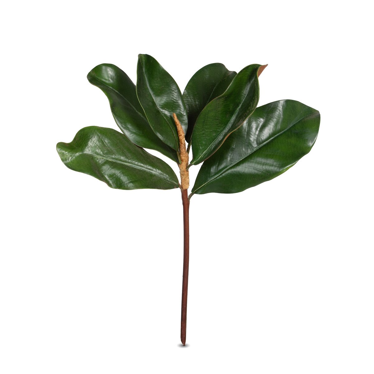 Park Hill Magnolia Leaves