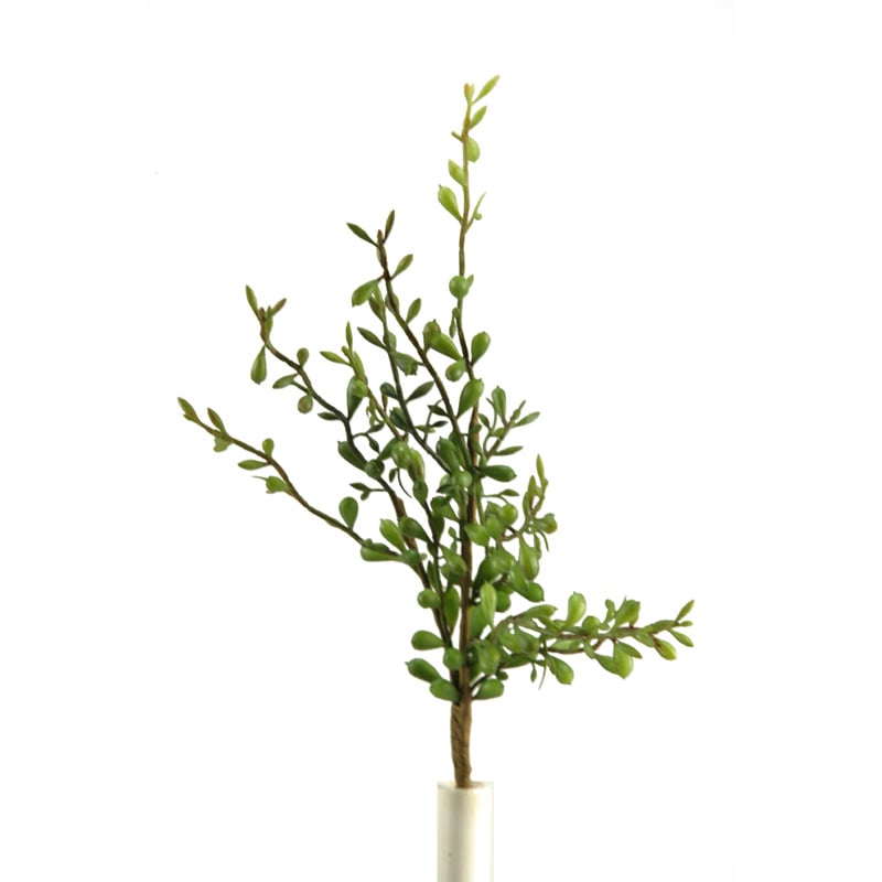 DW Silks Pittosporum Spray
