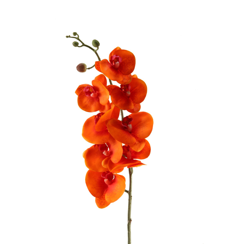 DW Silks Orange Phael Orchid Stem
